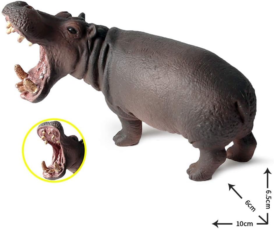 FLORMOON Animal Figures, 5pcs Realistic Hippo & Rhino Action Model, Plastic Wild Animal Learning Party Favors Toys - Image 3