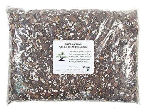 Special Blend of Bonsai Soil & house plant soil with Canadian Peat, Perlite, and Turface - 2 lb bag