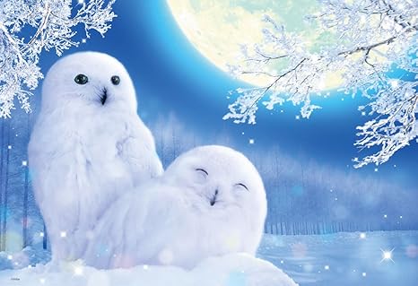 Buy Late Of White Owl Online At Low Prices In India Amazon In