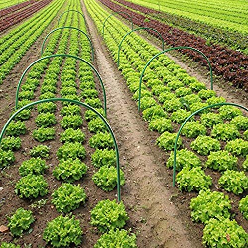 2 F+T+Greenhouse+Rust+Free+Supports