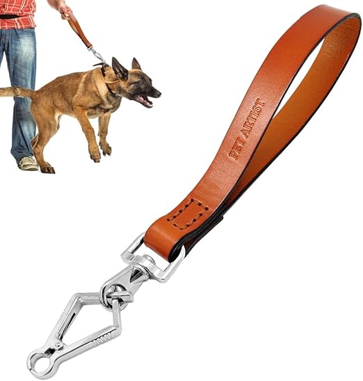 short leather dog lead