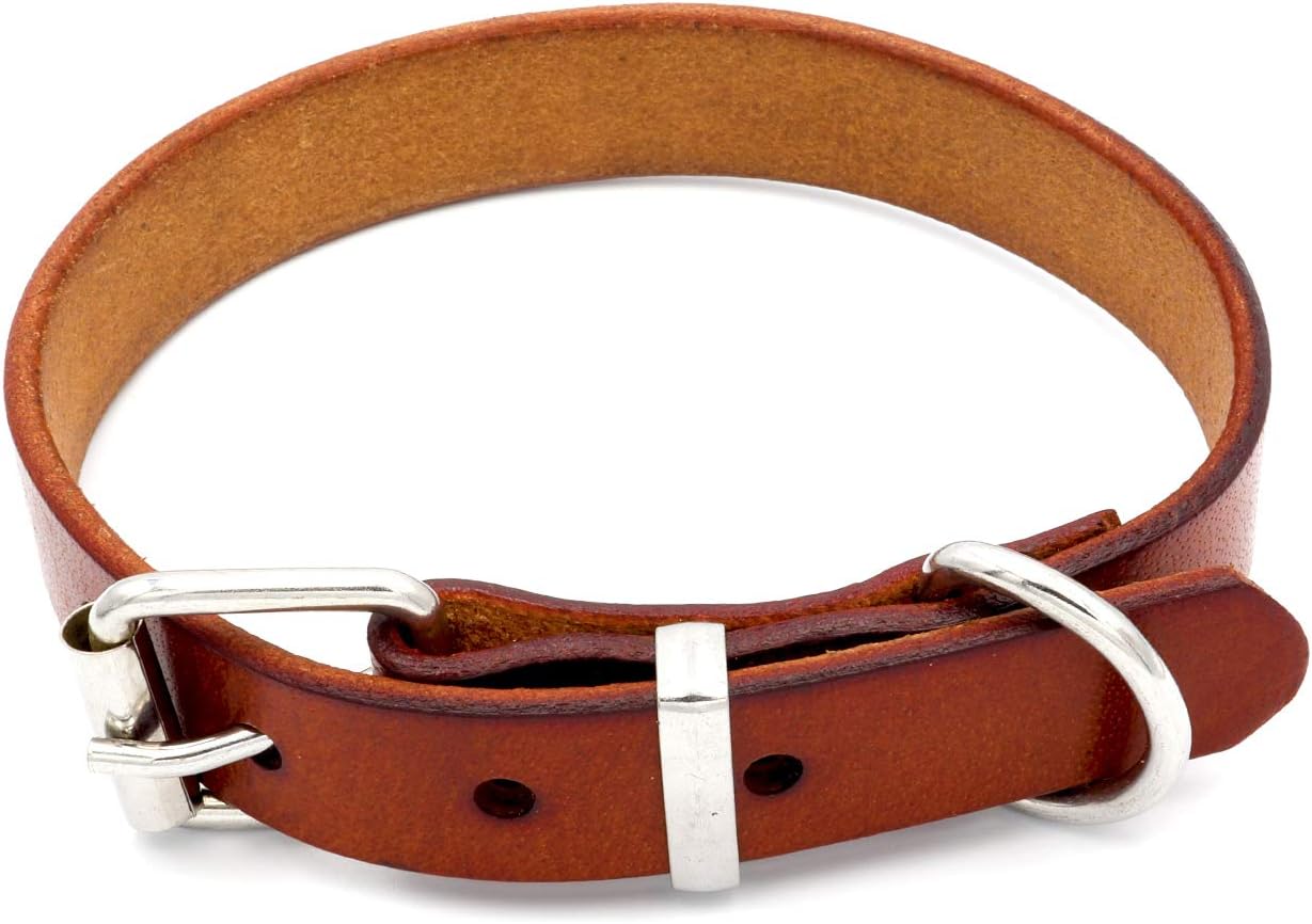thick dog collars amazon