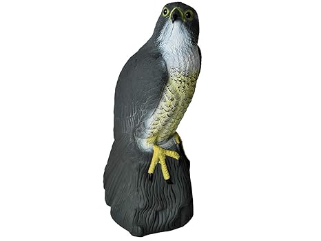 Iso Trade Falke Vogelschreck Abwehr Schutz Dekoration Kunststoff UV-Schutz Groß 6240