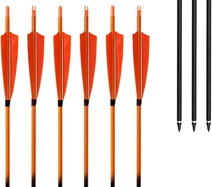 Archery Arrows 31 inches Targeting/hunting Carbon Arrows Bangta
