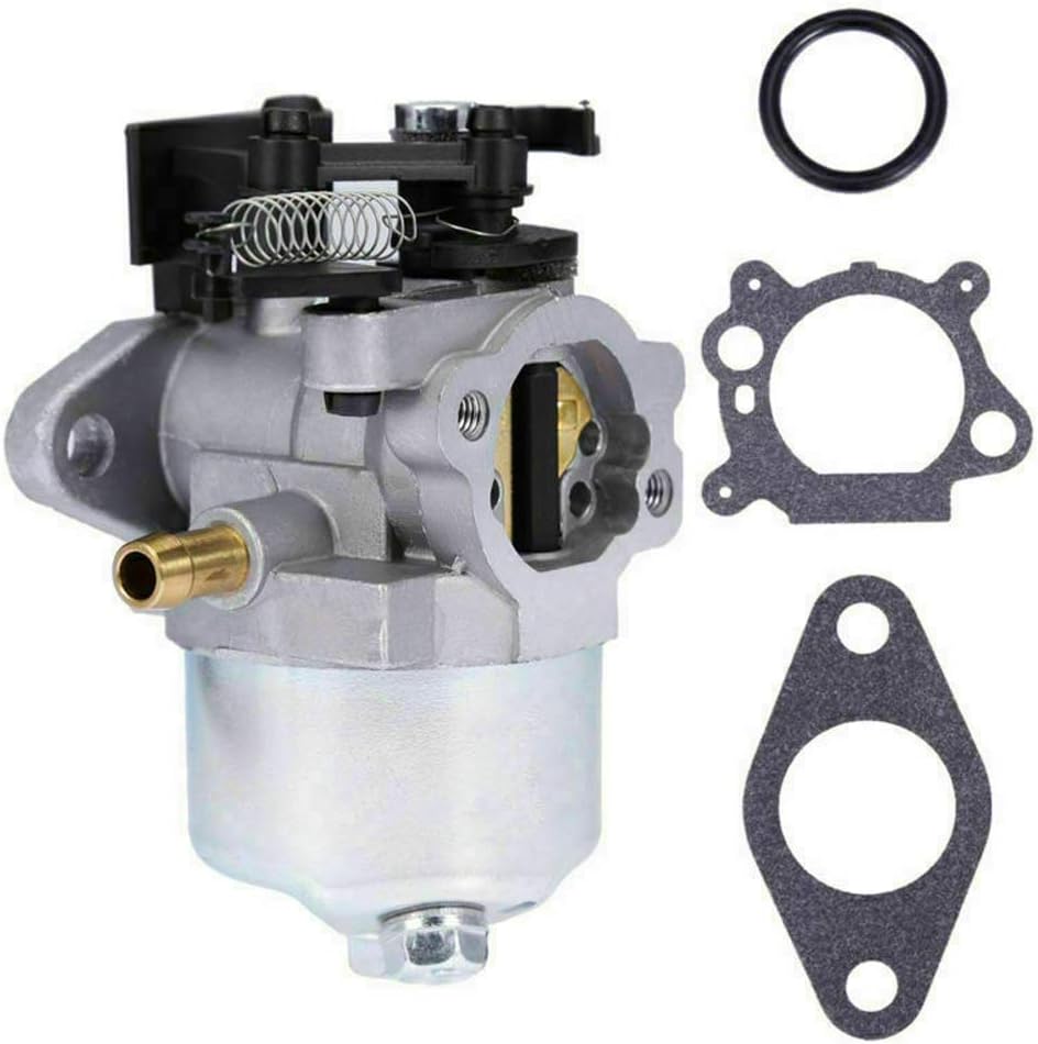 DKIIGAME Carburetor for Troy bilt Pressure washer7.75 Hp 8.75 Hp 8.5Hp 190CC, Replaces Briggs and Stratton 2700 3100PSI 796608 591137 590948 594287 799248 : Garden & Outdoor
