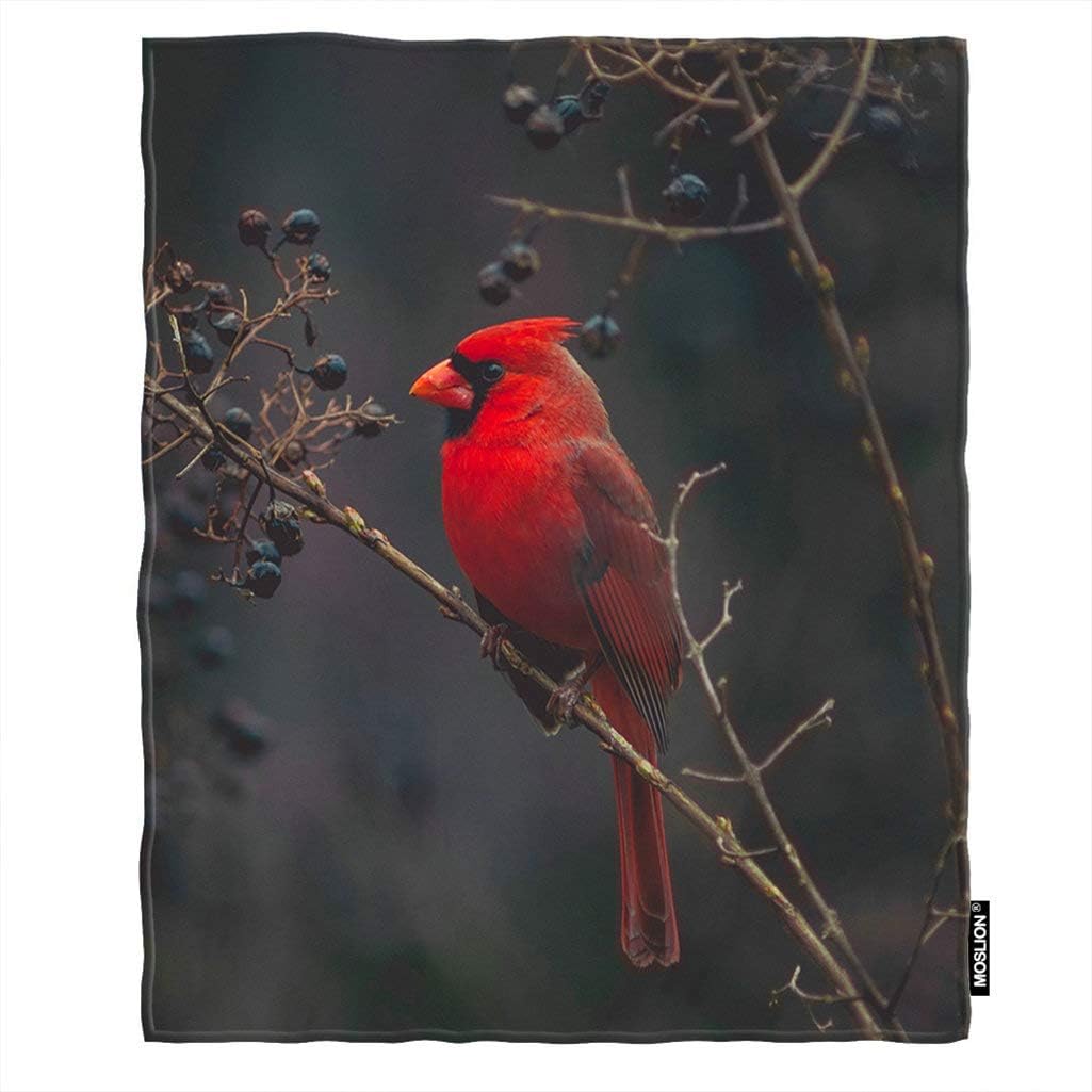 Moslion Soft Cozy Throw Blanket Cardinal red Bird Fuzzy