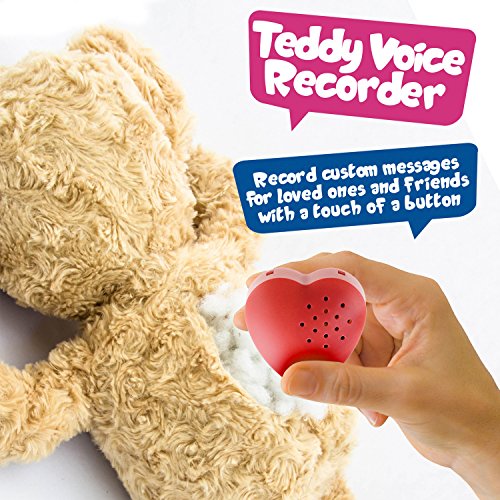 4 Inventiv+Recorder+Stuffed+Recordable+Messages