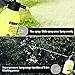 Sprayer Master 2.0, Pathonor  Multi-Purpose Sprayer  for Killing Weeds and Insects and Cleaning(2L/0.5 Gallon)