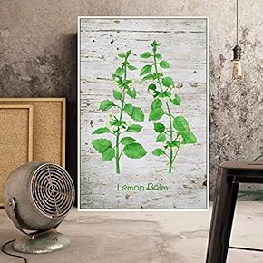 Floating Framed Canvas Wall Art for Living Room, Bedroom Plant Canvas Prints for Home Decoration Ready to Hang - 16x24 inches
