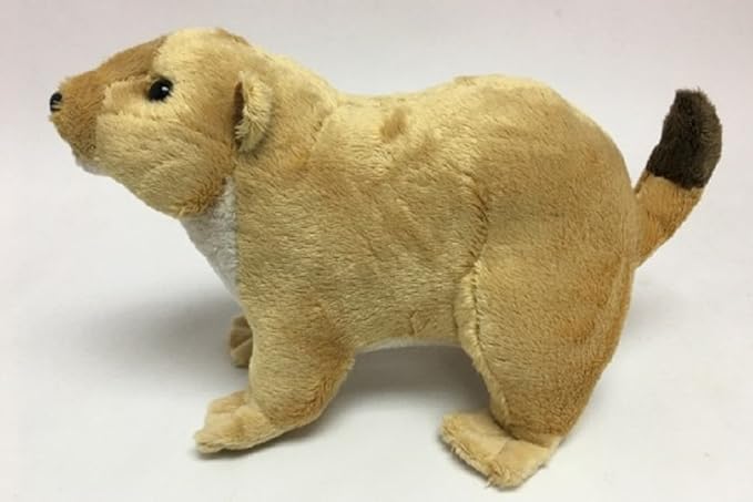 Unbekannt Stofftier Prariehund 21 Cm Kuscheltier Pluschtier Amazon De Spielzeug