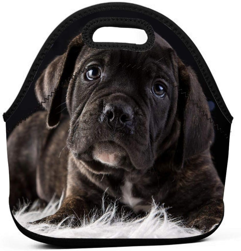 black dog tote