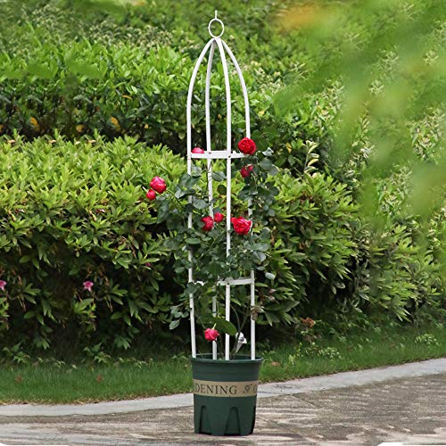 HANTURE 1,4 m Garten Obelisk Rankgitter, Kletterpflanzen Metall Stützständer Zylindrischer Turm, Dekorative Vertikale… – Bild 4