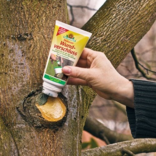 4,76 EUR/100 ml Neudorff Malusan Wundverschluss Pinseltube Baumwachs künstliche Rinde 125 ml Pinseltube – Bild 3