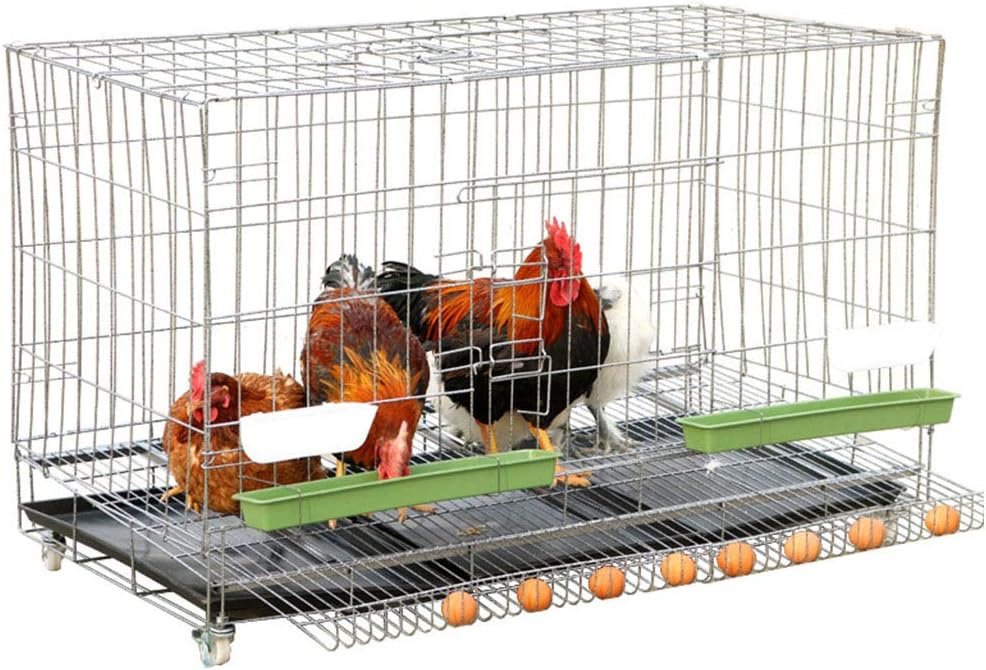rabbit breeder cages