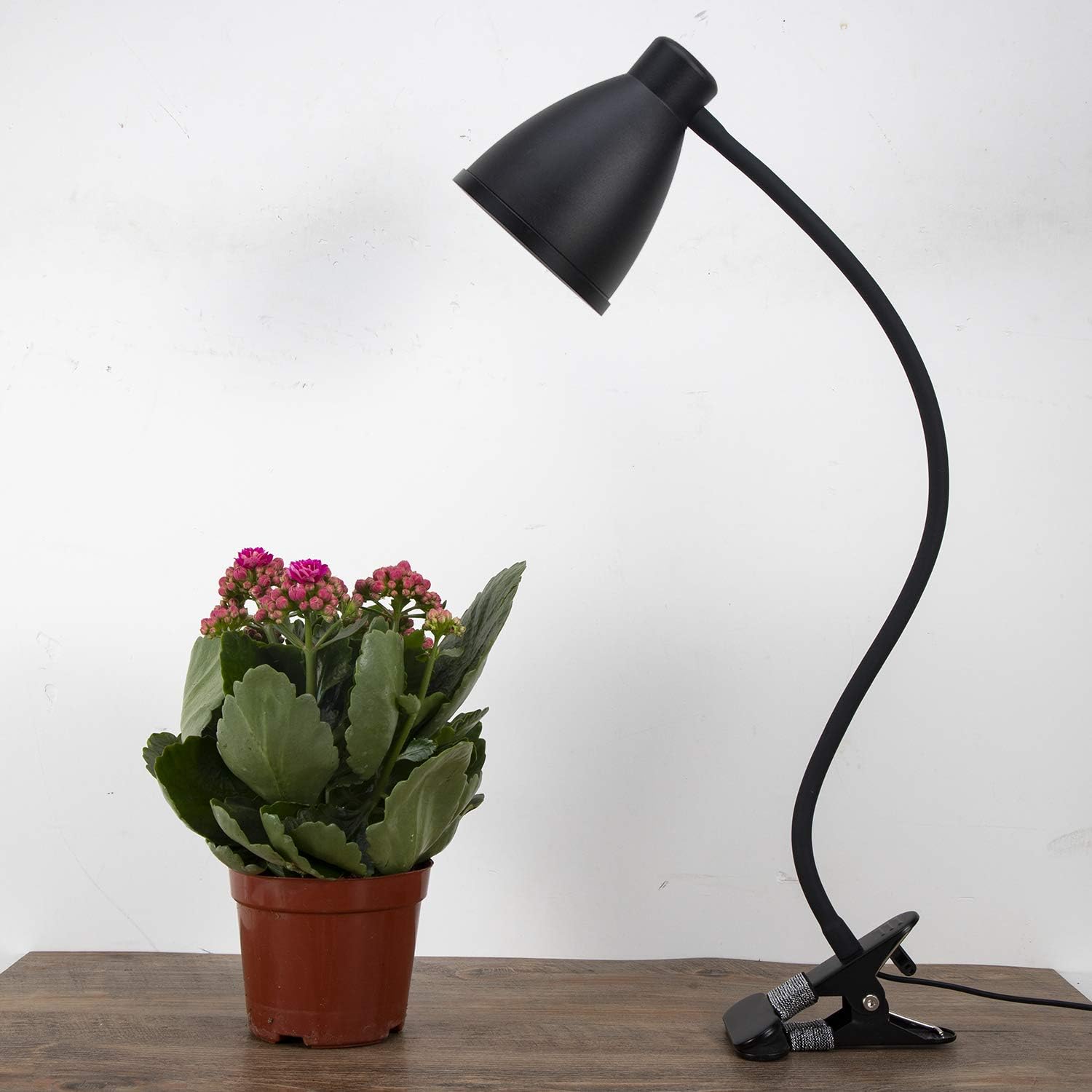 craft work lamp