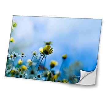 Fleurs 10037 Champ De Fleurs Autocollant Vinyl Adhésif Dessin Coloré Et Effet De Cuir Pour Les Portable Tactile Et Ordinateurs Portables Pour Laptop