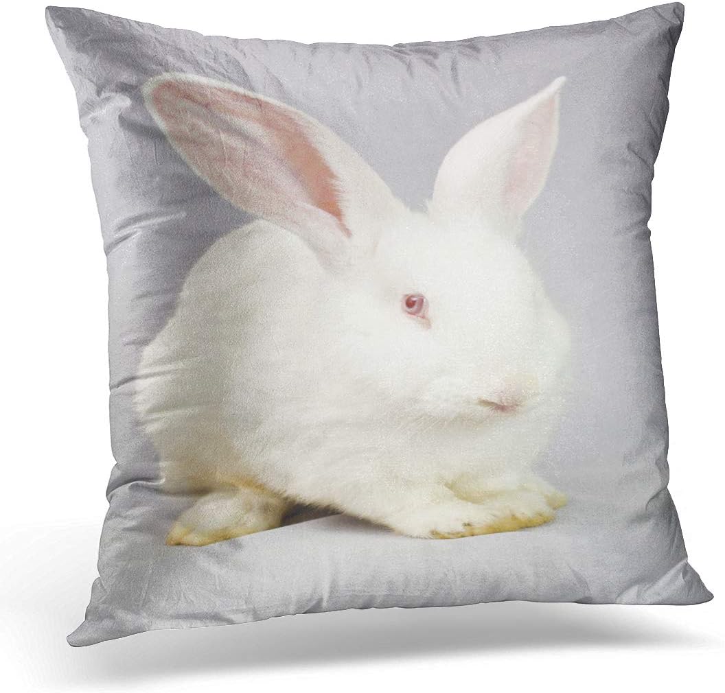 white rabbit pillow