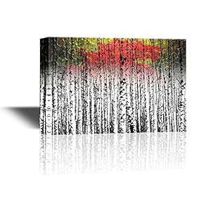 Canvas Wall Art - White Birch Tree Forest Landscape with Yellow and Red Abstract Leaves - Gallery Wrap Modern Home Art | Ready to Hang - 12x18 inches