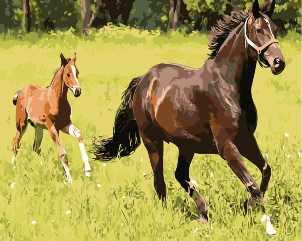 Paint By Numbers For Kids and Adults - Horses On The Lawn, DIY Oil Painting Kits With Pre-Printed Canvas Art Home Decoration Gifts 16*20 inch (without frame)