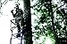 Millennium Treestands L100 Ladder Stand, 21 ft.