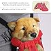 Pawaboo Pet Carrier Backpack, Adjustable Pet Front Cat Dog Carrier Backpack Travel Bag, Legs Out, Easy-Fit for Traveling Hiking Camping for Small Medium Dogs Cats Puppies, Medium, RED