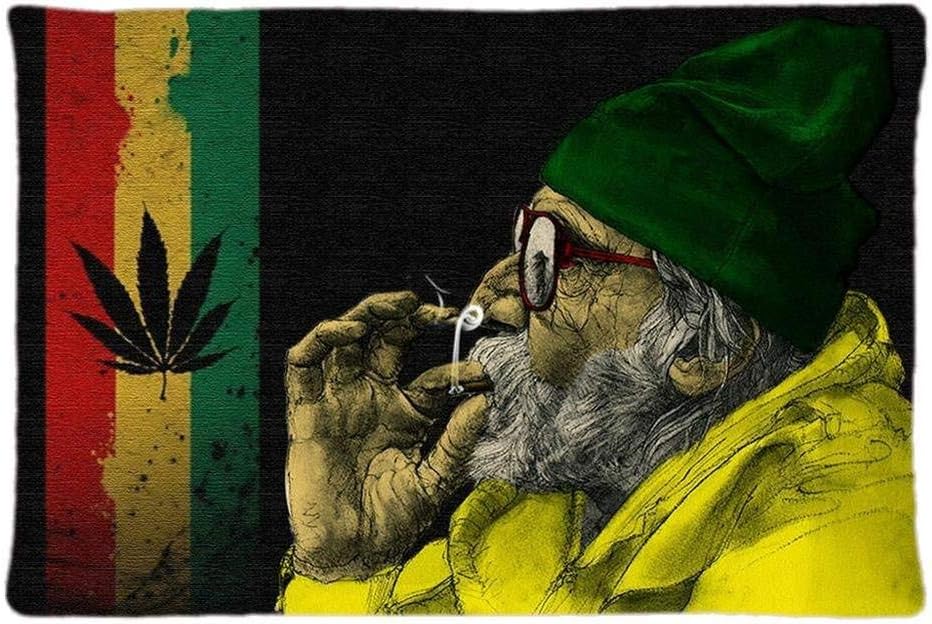 From terwen Rasta Rastafarian Lion Modern Home Decorative Pillow Case (Pillow Cover) Zipper Cushion Covers (35cmx50cm)