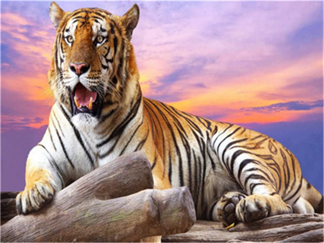 DIY Oil Painting Paint by Number Kit for Kids Adults Beginner 16x20 inch - A Tiger, Drawing with Brushes Christmas Decor Decorations Gifts (Without Frame)
