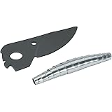 Hortensien wann pflanzen Hortensien wann pflanzen