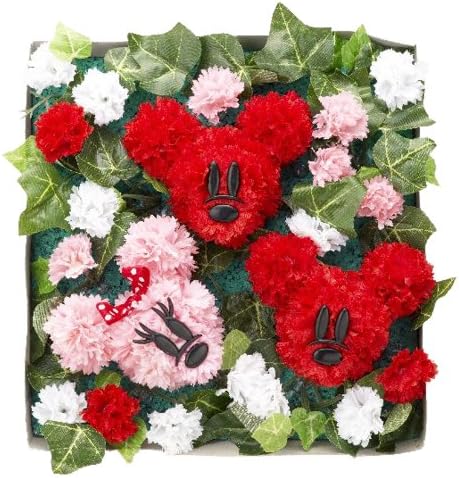 Amazon Co Jp ミッキーマウスカーネーション寄せ植えギフト おもちゃ