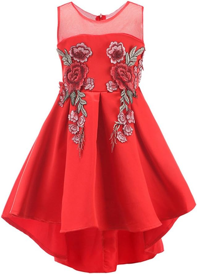 WEONEDREAM Rose Red Ball Gown Tutus Dresses High Low Girl Dresses Big Girl Size 7-16 13 14 Cotton Pleated Skirt (Red, 160)