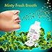 Dr. Brite Mint Whitening Mouthwash | Whitens with Activated Charcoal | Vegan + Made with Natural and Nourishing Ingredients | Alcohol Free | Promotes Healthy Gums | Eliminates Bad Breath