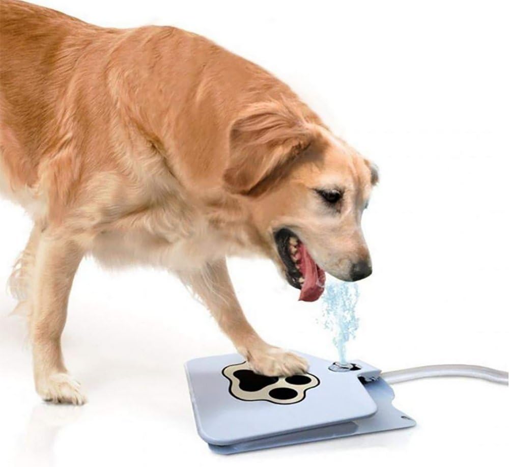 outdoor automatic dog feeder for large dogs