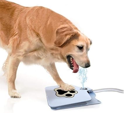 dog water pedal