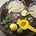 Lemon Lime Orange Squeezer Fresh Citrus Juicer Press by KAIBR (1, Lemon)