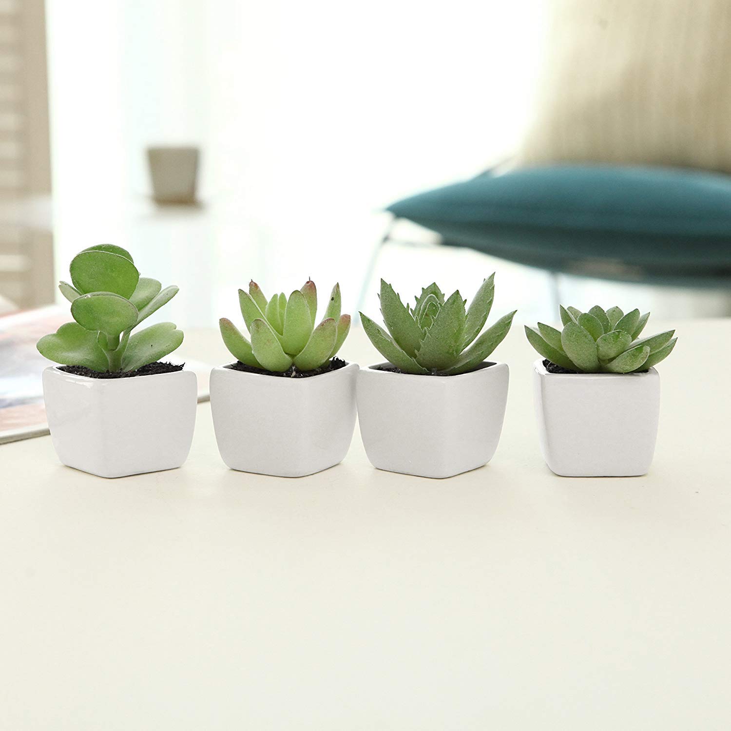 Ivyline Vaso In Ceramica Per Piante Grasso | Bianco E Blu | 9x9x9 Cm | Smaltato E Impermeabile