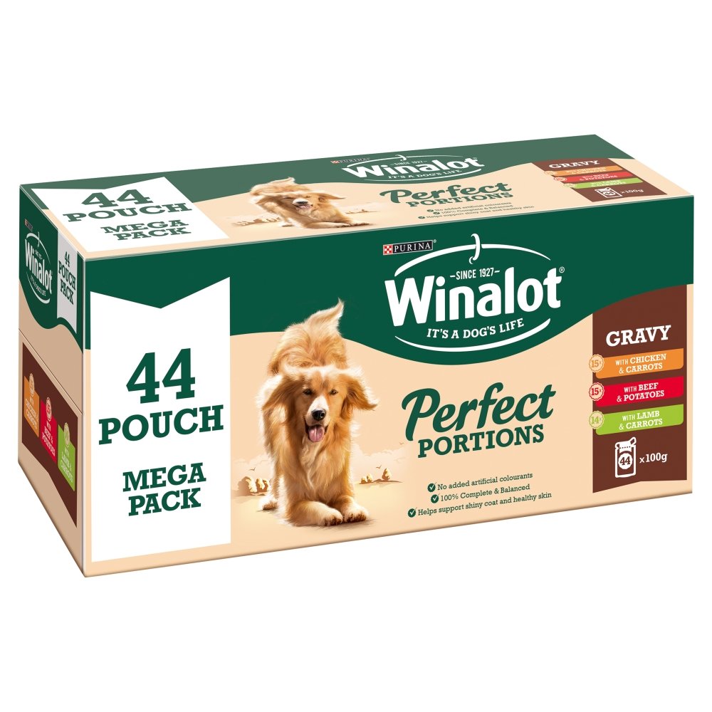 great dane dog origin