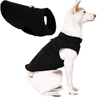 accesorios para perros amazon