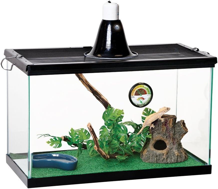 reptile terrarium 50 gallon