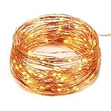 Copper Wire Light Strings, LTROP 33ft 100 LED Battery Powered Starry String Lights, Ambiance Lighting Décor Rope Light for Outdoor, Garden, Home, Party, Christmas (Battery Not Included)–Warm White