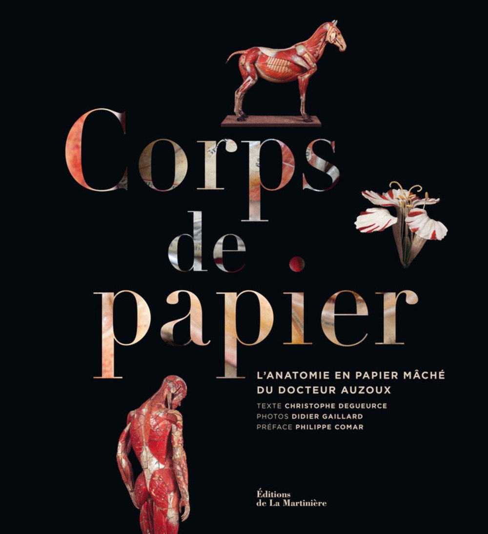 Résultat de recherche d'images pour "christophe degueurce  corps de papier"