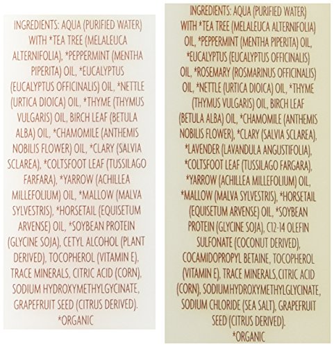 Trader Joe's Tea Tree Tingle Shampoo & Conditioner, 16 oz.