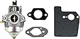 Amazon.com: Honda 16100-Z8B-901 Carburetor Kit with Gaskets: Garden