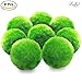 Luffy 8 Marimo Moss Balls - Jumbo Pack of Aesthetically Beautiful Plants - Create Healthy Surroundings - Low-Maintenance Live Play Balls - Shrimps & Snails Love Them