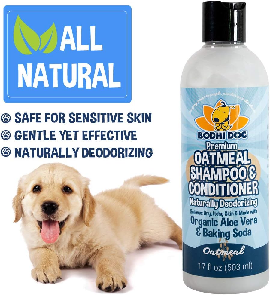 Amazon Com All Natural Anti Itch Oatmeal Dog Shampoo And