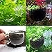Aquatic Plant Crystal Clear Glass Cup Pot Aquarium Aquascaping Fish Tank Holder Water Plant Seeds Water Grass Aquarium Decor, 5 Packthumb 1
