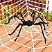 Halloween Giant 12 FT Round Spider Web with 2.5 FT Big Black Hairy Spider and Super Stretch Cobwebs Halloween Indoor and Outdoor Decorations