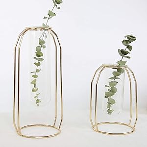 ZFRANC Glass Vases Metal Rack Stand Clear Flower Vase Set, Nordic Style Geometric Shape Glass Iron Art Vase Plant Containers for Dry Flower Holder Home & Wedding Decoration