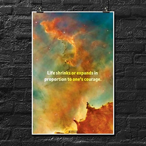 Anais Nin Quote Poster Wall Print | Inspirational Motivational Gym Classroom Home Office Dorm | 18 X 12 Inches | SJC208