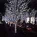 Joomer 200 LED String Battery Christmas Lights, Cool White
