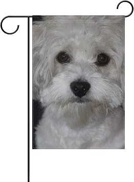 Yusuig Blanc Chien Mignon Bichon Frise Jardin Drapeau